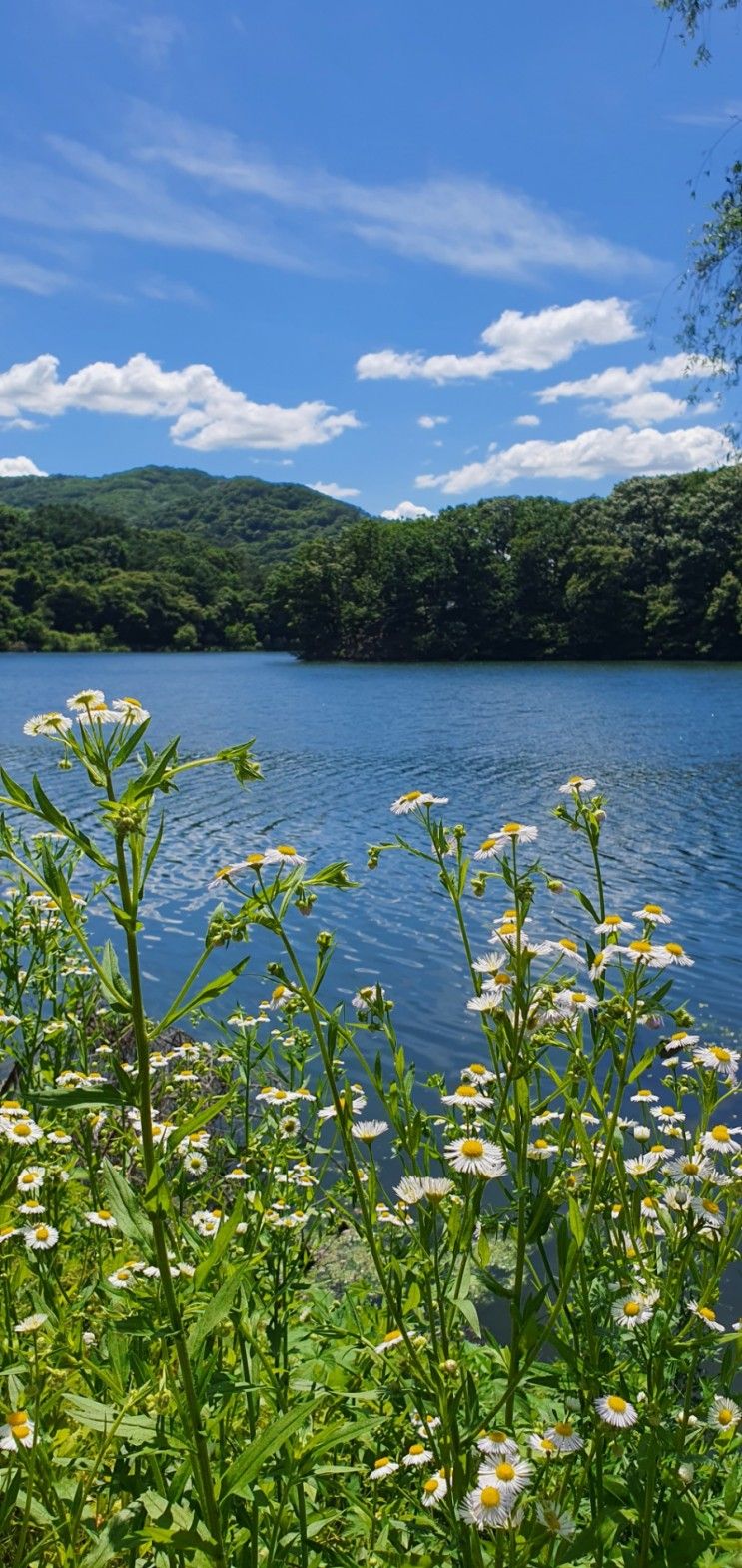 파주 마장호수 출렁다리 철갑상어 유원지 파주 카페 오랑주리