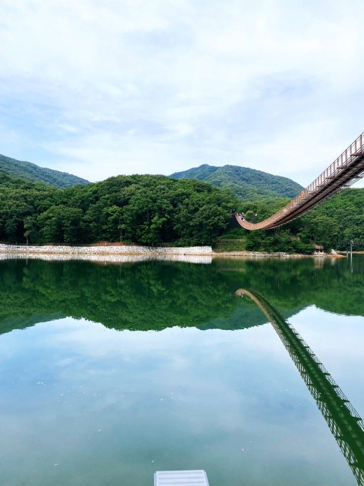 [파주 가볼만한 곳] 파주... 이용시간/주차장/철갑상어/청둥오리