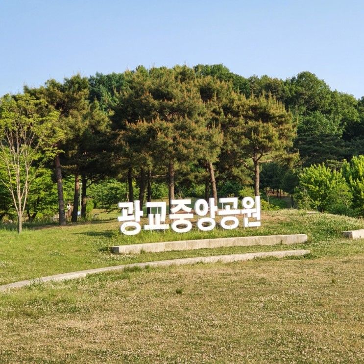 경기도 산책하기 좋은 공원, 광교중앙공원 숲놀이터 소개 및 주차정보