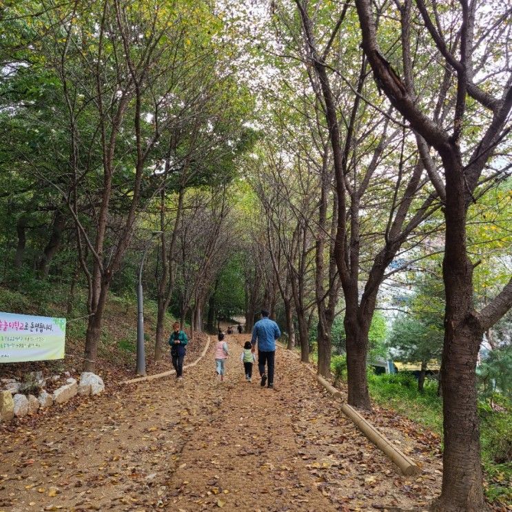 수원시 광교 중앙공원 숲 놀이터 가을에 아이와 갈만 한 곳_유아숲체험원