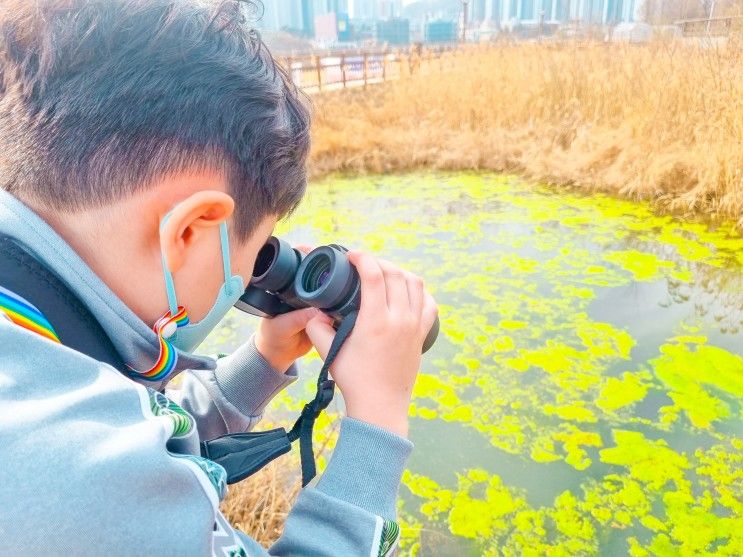 성성호수공원 방문자센터 생태교육과 야외놀이터