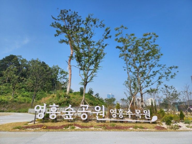 [방문후기] 영흥숲공원 1차 개장 방문 후기🌲