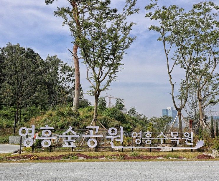 영흥숲공원 오픈 영흥수목원 입장료 주차