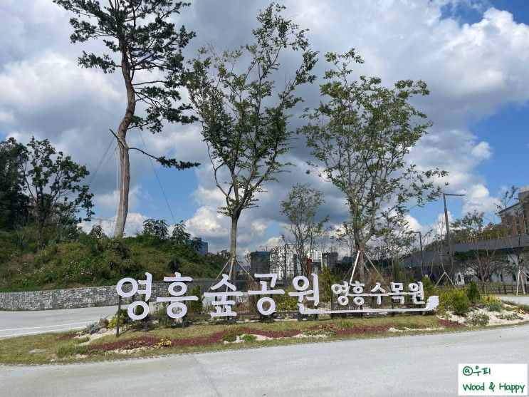 [블챌17주차] 주간일기 - 영흥숲공원