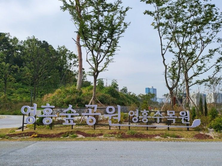 [수원] 영통 아이와 가볼만한곳 '영흥숲공원' 개장