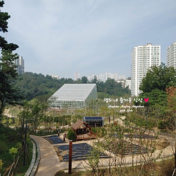 수원영흥숲공원 임시개장 방문후기 주차장 주차요금 정보