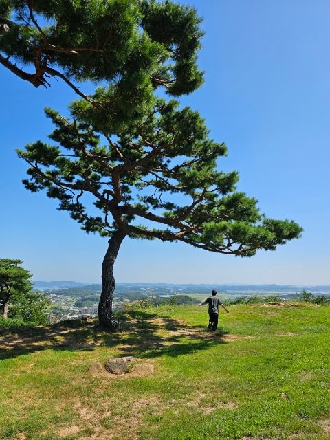 강화도 가볼만한곳 [전등사]: 숨겨진 산책로를 품은 볼거리가...