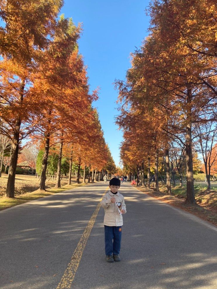 서울근교 아이랑나들이 인천 드림파크야생화단지 공원