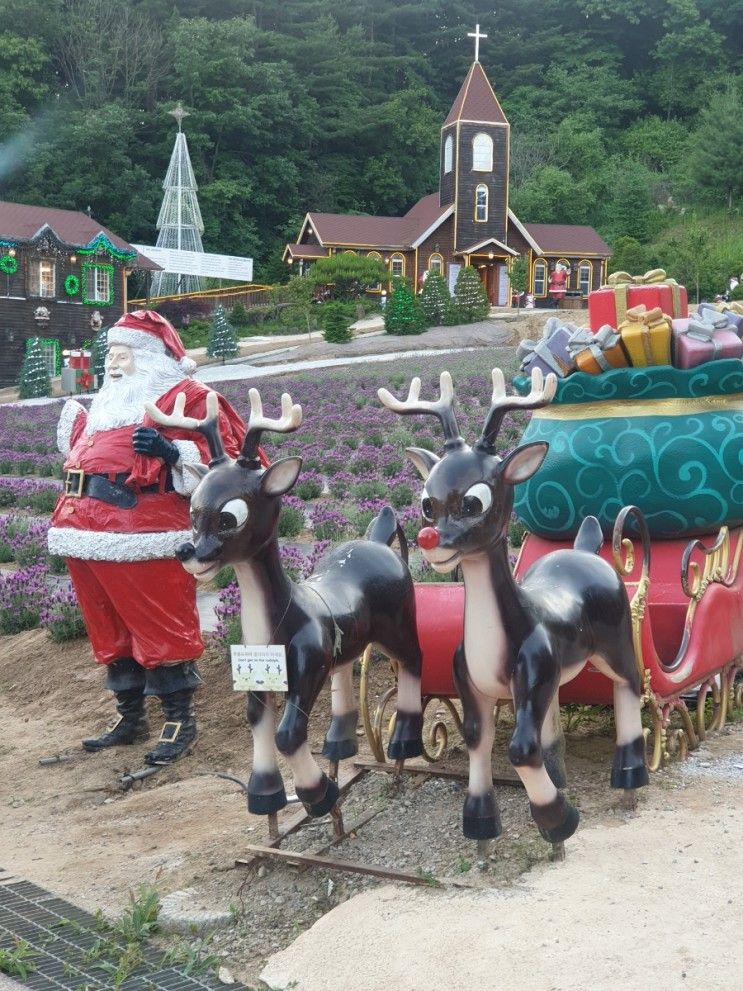 포천 허브아일랜드 라벤더축제 산타마을 운영시간