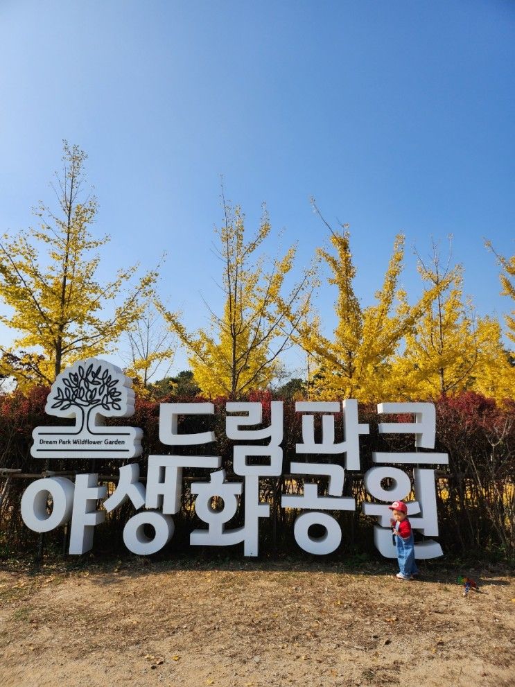 인천 아이랑 나들이하기 좋은... 가면 좋은 드림파크야생화공원