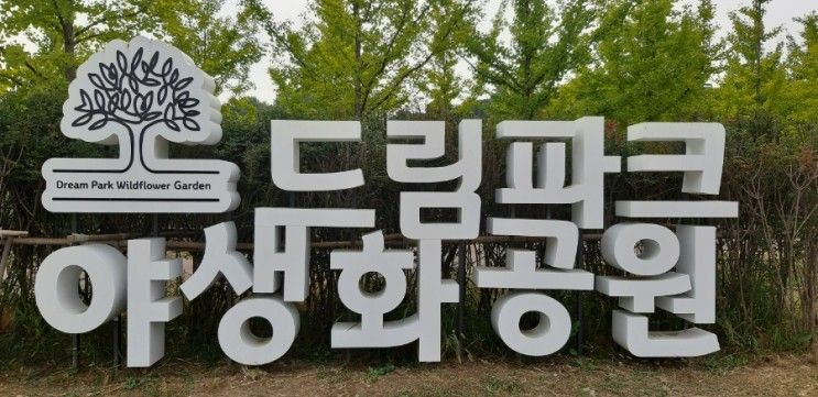 인천 드림파크 야생화 공원(수도권 갈만한곳)