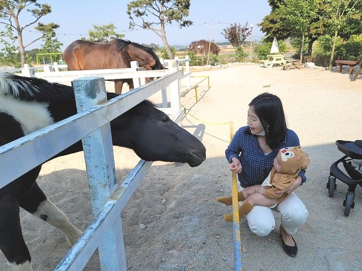 익산 아이와 함께 가볼만한 곳, 승마체험 가능한 야외 정원카페 함라정원