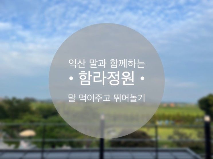 익산카페 함라정원 , 익산 아이와 갈 볼만한 곳 말 당근 주고 잔디밭 뛰어놀기