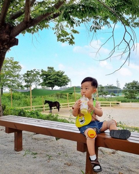 익산 아이랑 가볼만한곳, 함라정원 카페