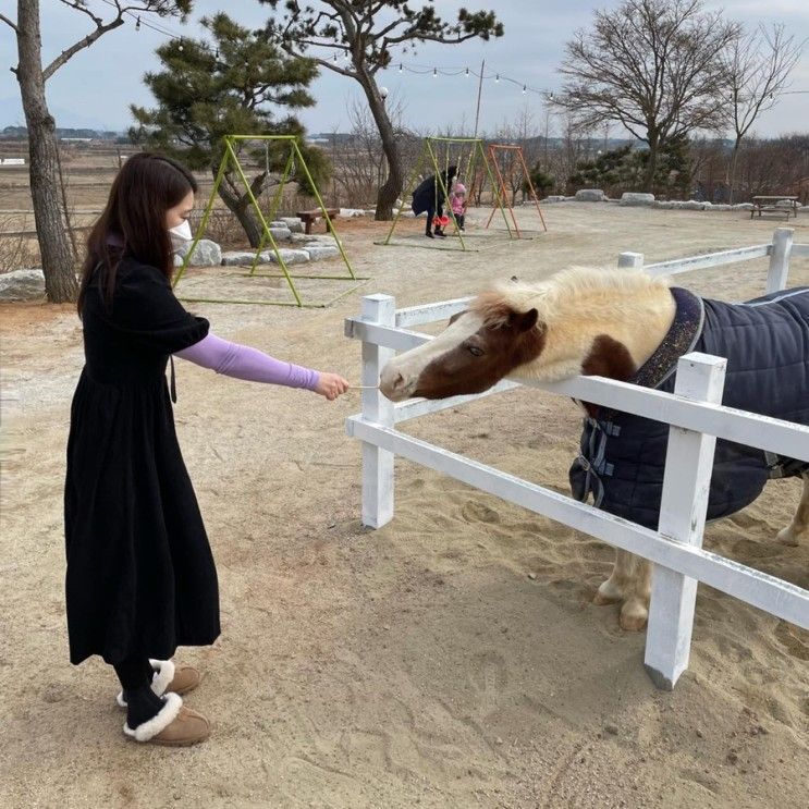 익산) 승마체험이 가능한 카페 [함라정원] 이용 및 다녀온 후기