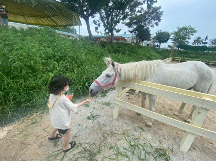 익산카페 함라정원 주말아이와함께 뛰어놀자