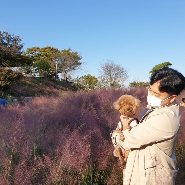 익산카페 : 아이들과 가기좋은 반려견동반가능 카페 함라정원