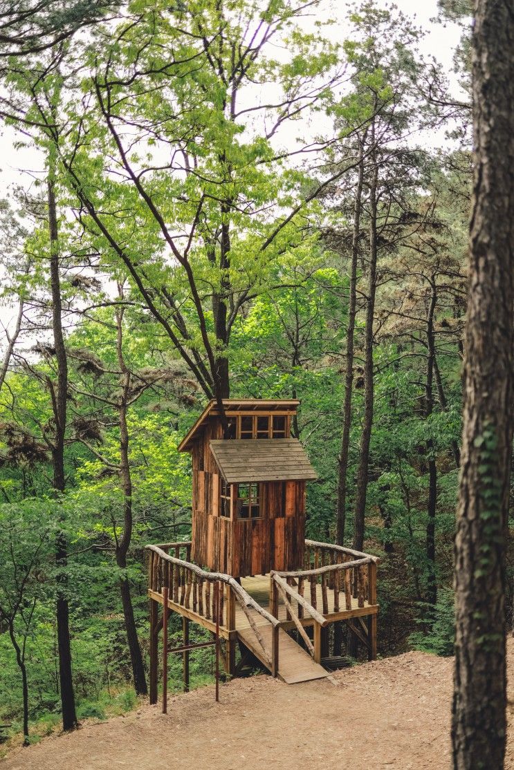 [공주여행] 연미산자연미술공원_숲속에서 작품관람하며 산림욕하기🌲