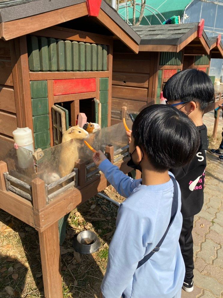 경북 구미 동물원 쥬쥬동산 너무 만족했던 곳