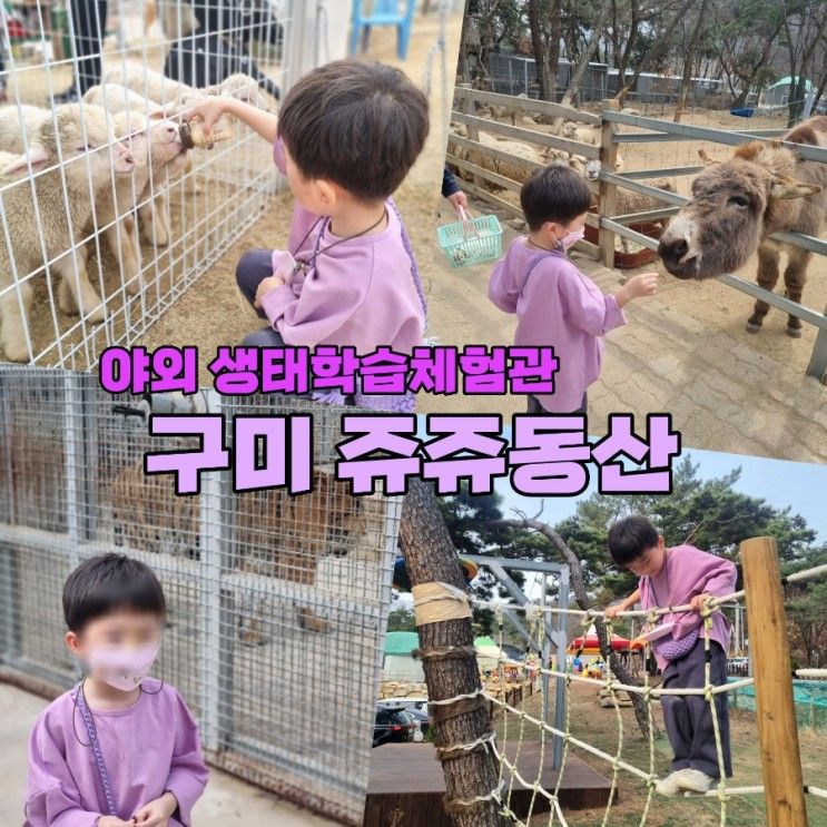 아이들이 좋아하는 야외 동물원, 구미 쥬쥬동산(+새끼양...
