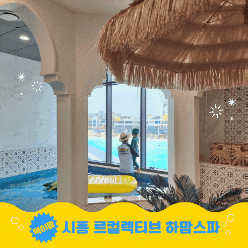 시흥 웨이브파크 르컬렉티브 호텔 프라이빗 온수풀 수영장 하맘...