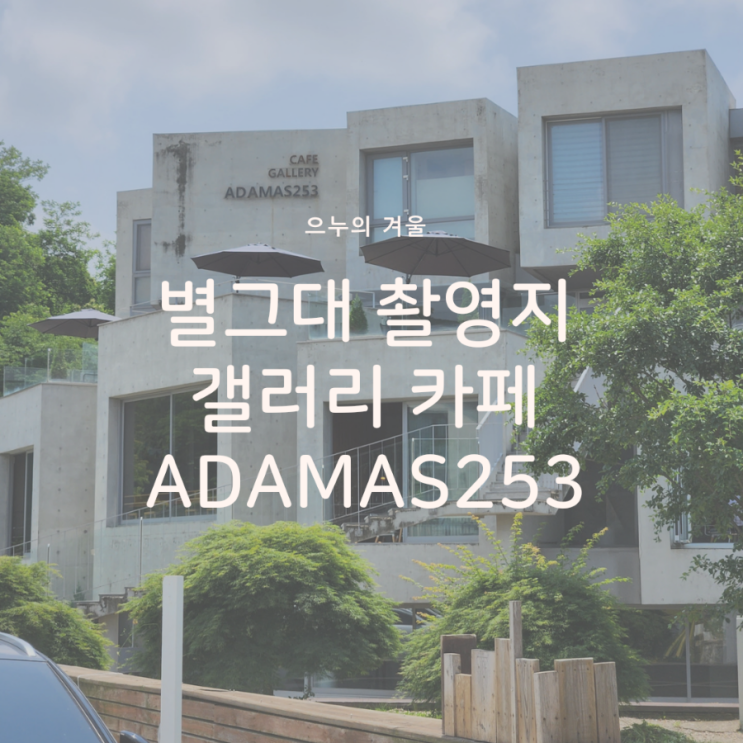 별그대 촬영지 아다마스253을 다녀왔어요 ADAMAS253 내돈내산