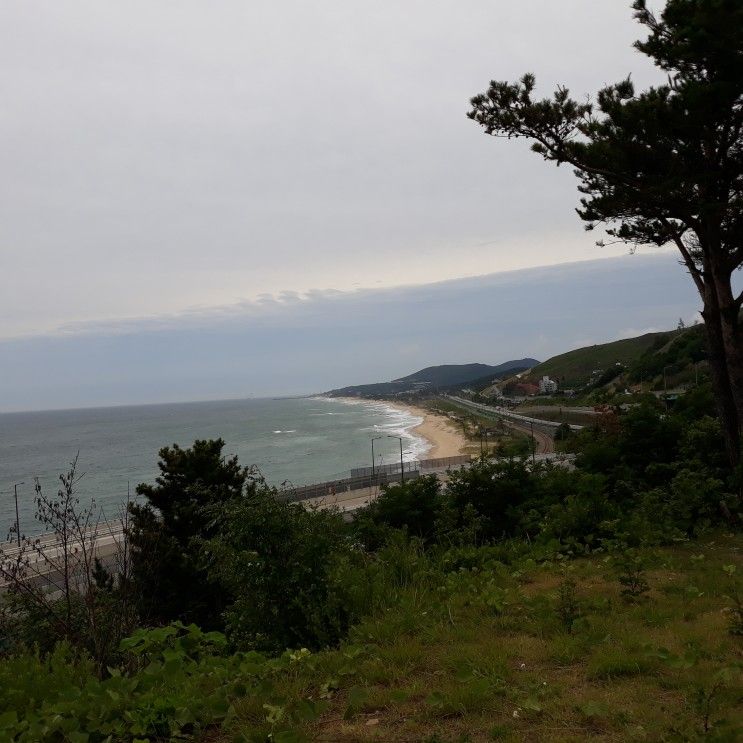 강릉 옥계 해변, 오죽헌, 경포대 허브농장 호린파크 둘러보기