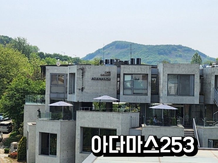 별그대촬영지 파주파스타 헤이리마을맛집 아다마스253