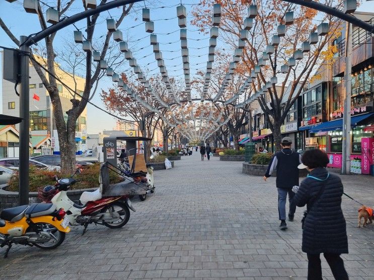 강릉 소품샵 4곳 비교 [월화선물가게, 오란다카페, 월화역]