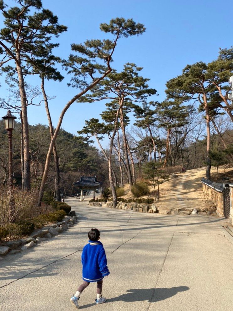 서울 아이와 가볼만한곳 산책코스로 좋은 은평한옥마을 북한산 진관사