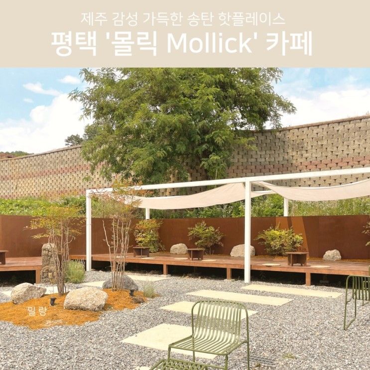 평택 송탄 '몰릭 Mollick' 카페, 제주 감성 가득 담은 도일동...