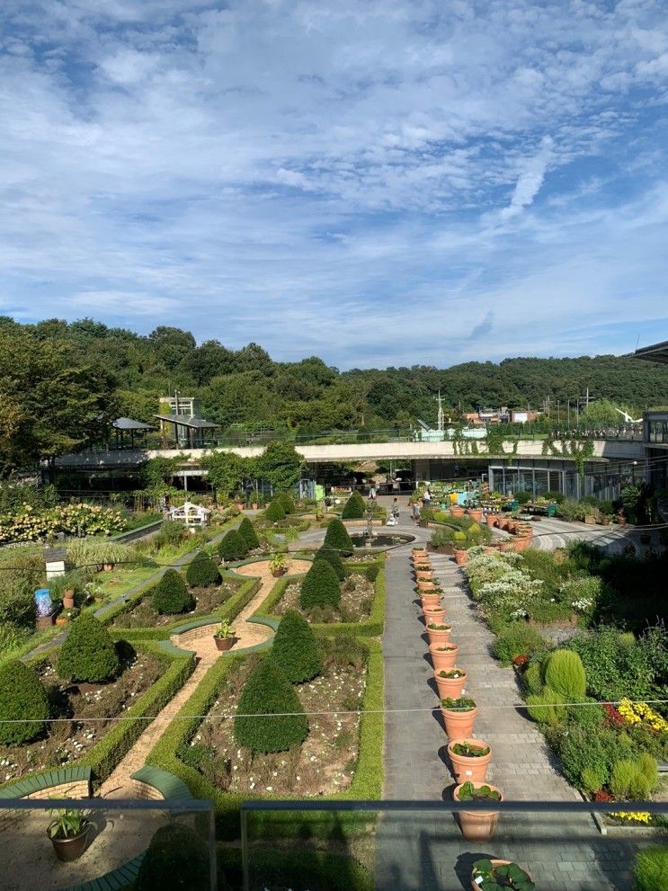 성남가볼만한곳 신구대학교 식물원