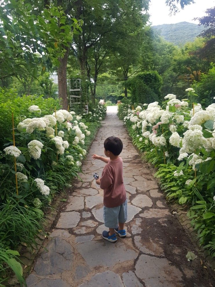 아이와 사람 없는 공원 탐방기 6-신구대학교 식물원