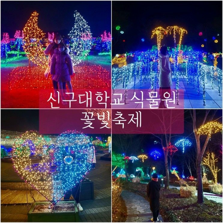 경기도 빛축제 신구대학교식물원 꽃빛으로 물들다