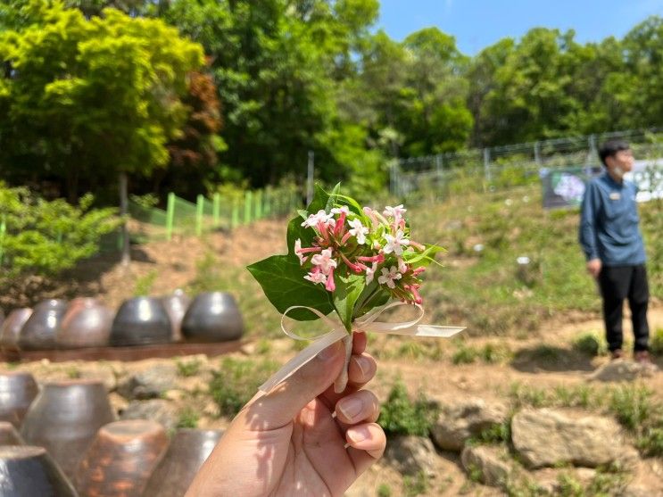 신구대학교식물원 인동과 전시원 개원했어요 :)