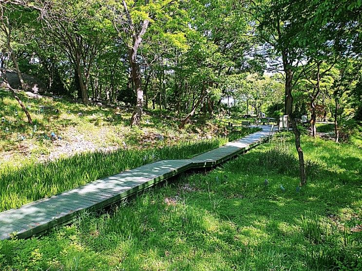 성남시가볼만한곳 성남시관광명소  성남시 수정구 신구대학교식물원