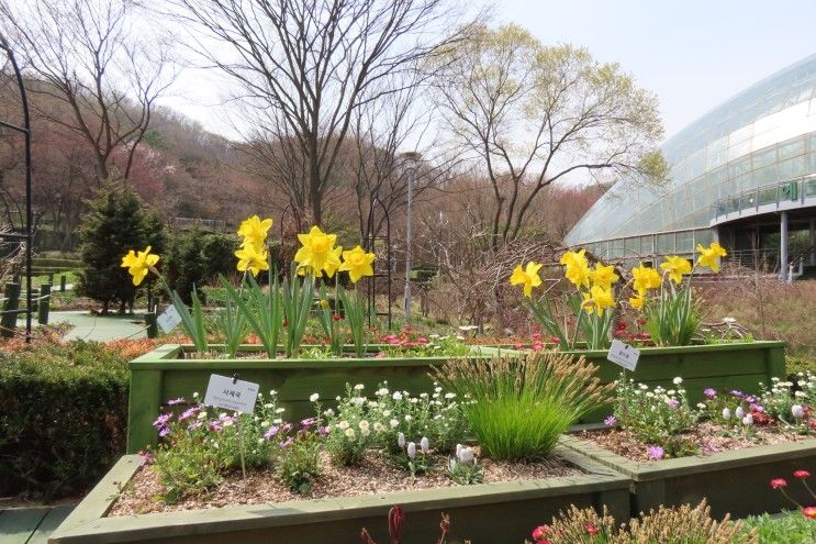 신구대식물원 (신구대학교식물원) 야생화 탐방