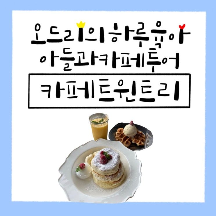 남양주 아이와 가볼만 한 곳 양수리 카페 트윈트리