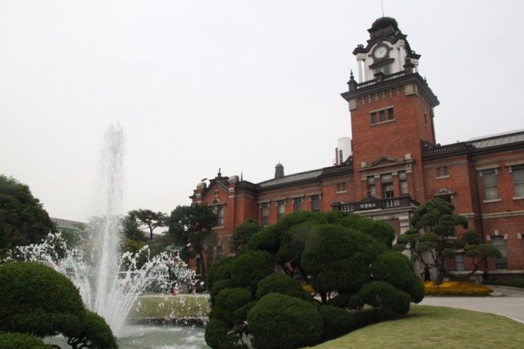 서울대학교병원 ♧ 서울대학교병원 의학박물관 우연한...