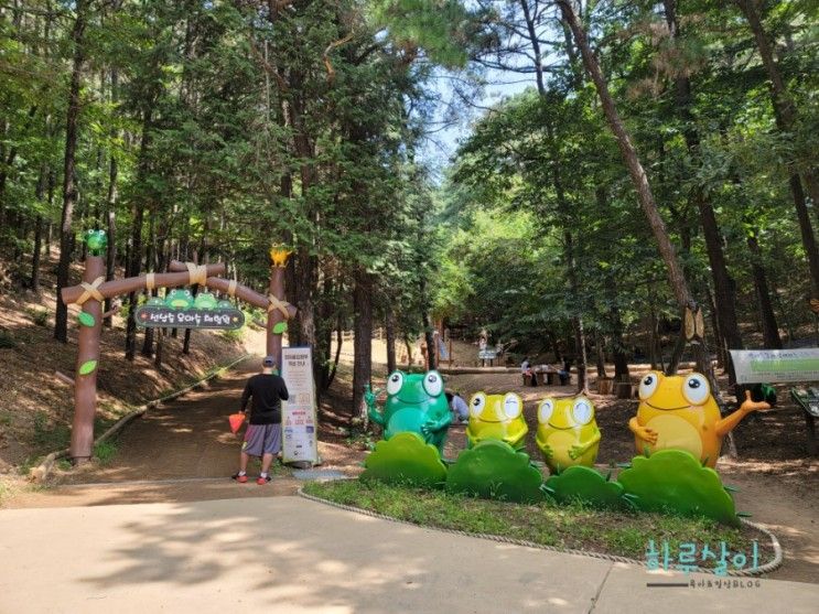 동탄 선납숲공원  유아숲체험원 후기 - 아이와 같이 놀만한 곳 / 16개월 아이가 노는법