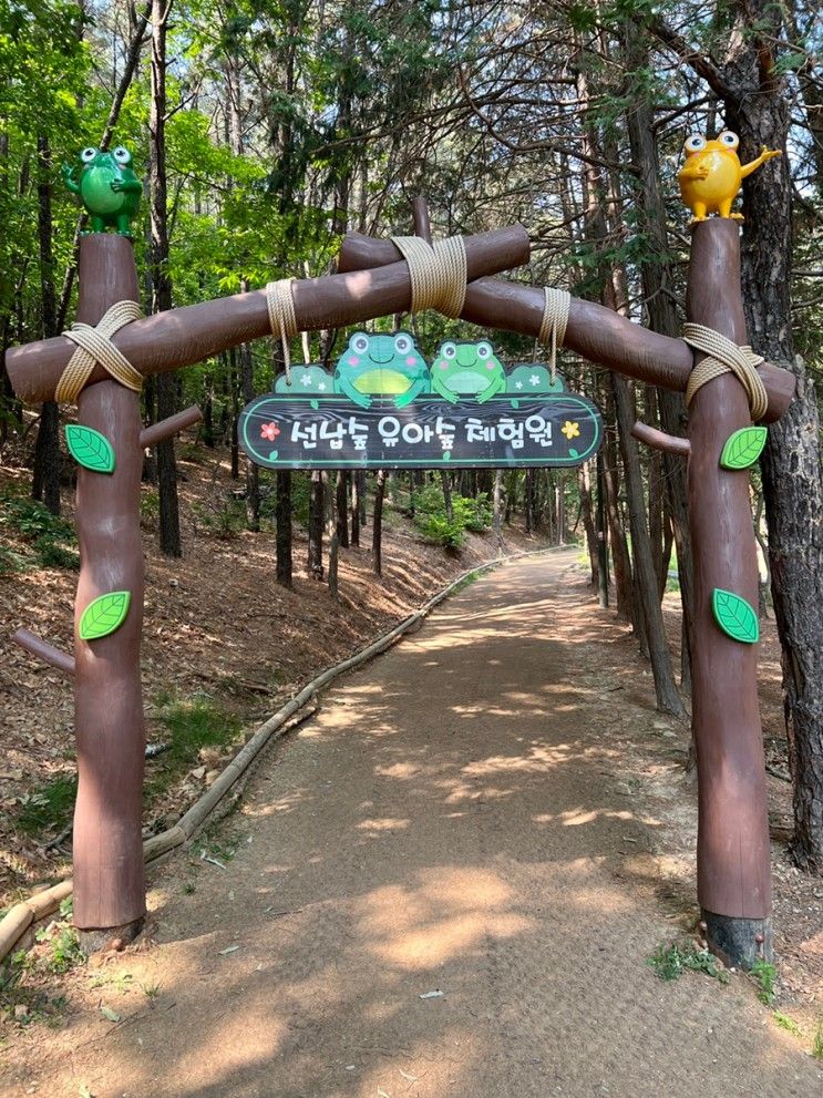 동탄2 영천동 선납숲 유아숲 체험원에서 즐기는 숲놀이터