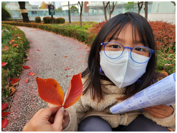가을을 잠시 느낀 시간 :: 서울대학교병원 의학박물관