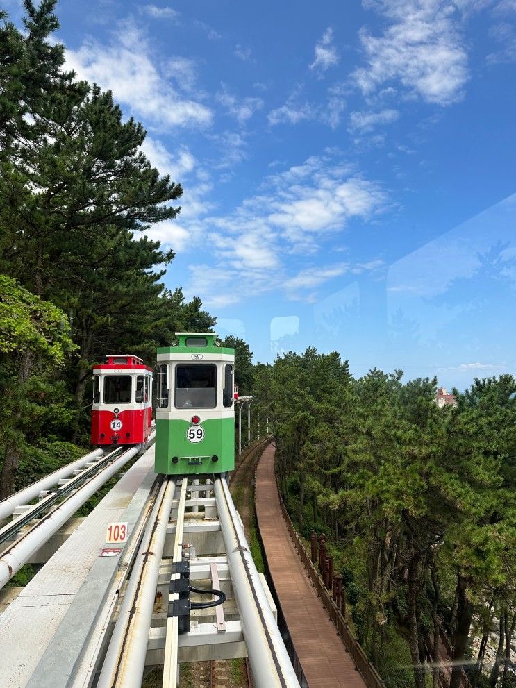 [20주 태교여행] 부산 시그니엘, 요트투어, 블루라인파크...