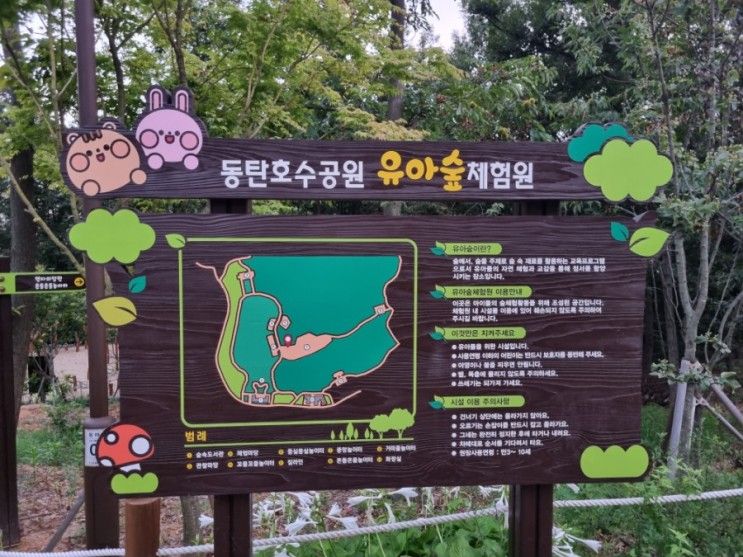 [아이와 가볼만한 곳] '동탄호수공원 유아숲 체험원'