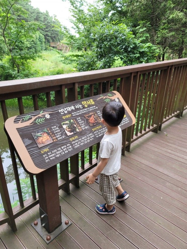 경기도 아이와 가볼만한 야외 놀이시설 선납숲공원 숲놀이터