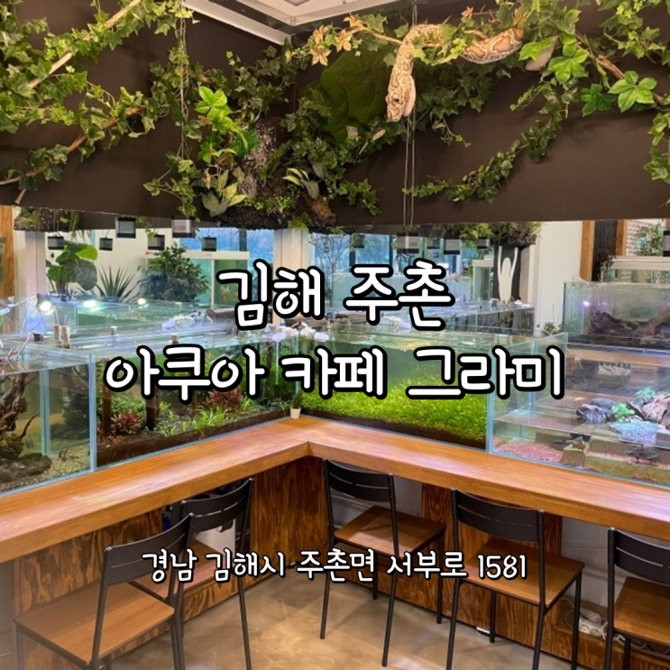김해 가볼만한곳 물고기의 종류가 다양한 아쿠아 카페 그라미