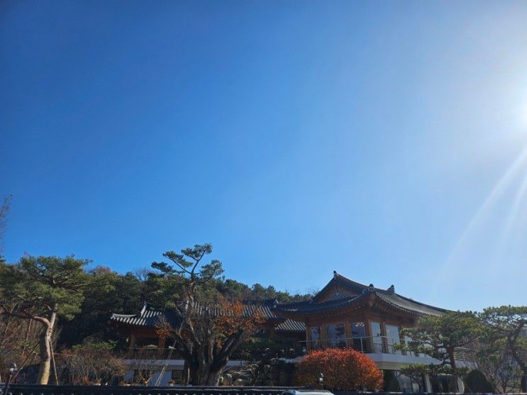 향남 신상카페 더포레스트퀸 빵순이 빵지순례 추천메뉴...