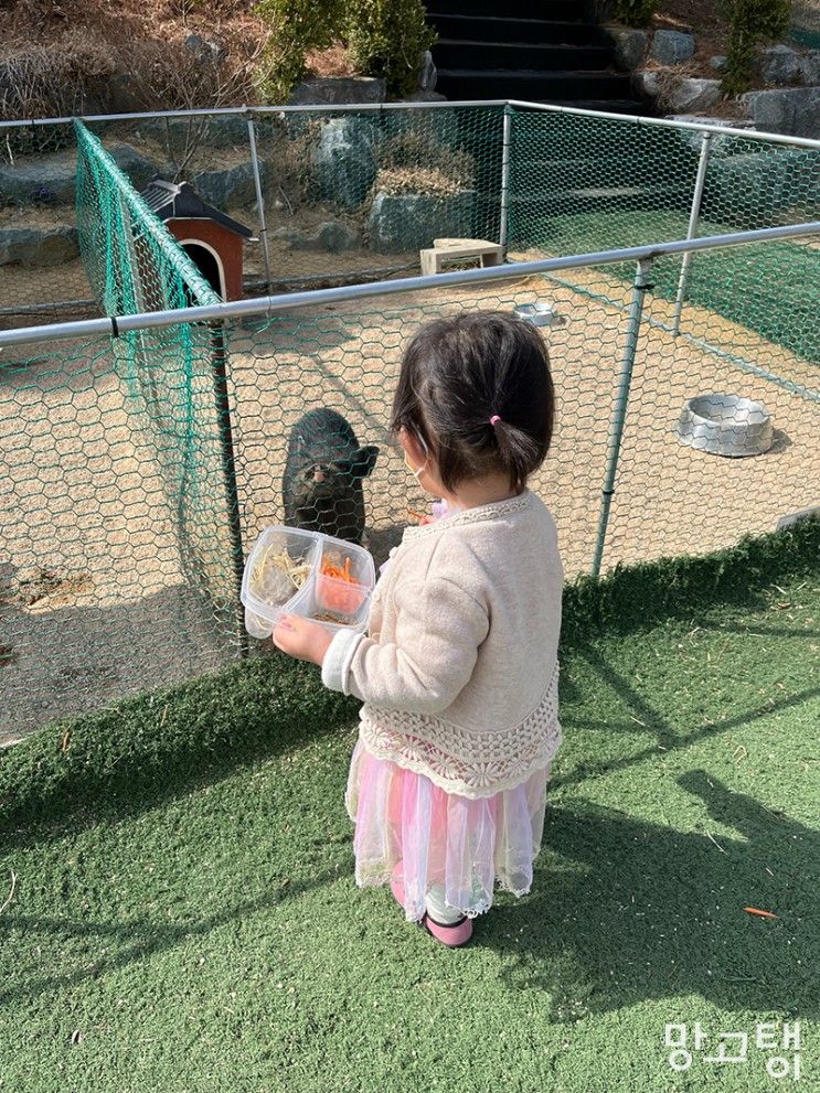 대구 팔공산 아이와... 모래놀이 실내 실외 모두 좋은 하하농장