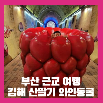 부산 근교 여름 여행 시원하고 운치 있는 김해 와인동굴로!!