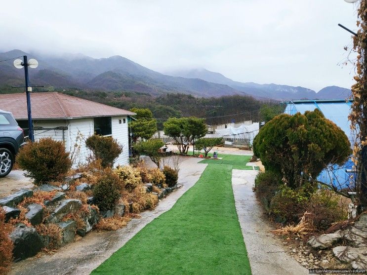 대구) 팔공산 하하농장 먹이주기 체험 아이와 가볼만한곳 추천!